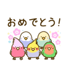 やさしいインコちゃんず（個別スタンプ：35）