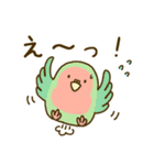 やさしいインコちゃんず（個別スタンプ：40）