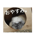 かわいい動物のすたんぷ メェちゃん編（個別スタンプ：2）