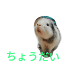 かわいい動物のすたんぷ メェちゃん編（個別スタンプ：6）