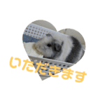 かわいい動物のすたんぷ メェちゃん編（個別スタンプ：13）