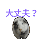 かわいい動物のすたんぷ メェちゃん編（個別スタンプ：21）