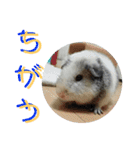 かわいい動物のすたんぷ メェちゃん編（個別スタンプ：38）