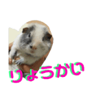 かわいい動物のすたんぷ メェちゃん編（個別スタンプ：39）