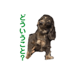 ジロー(犬)（個別スタンプ：8）
