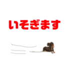 ジロー(犬)（個別スタンプ：20）