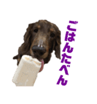 ジロー(犬)（個別スタンプ：27）