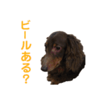 ジロー(犬)（個別スタンプ：33）