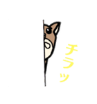 釣り好きっチャンネル～のらマクさん～（個別スタンプ：25）
