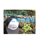 釣り好きっチャンネル～のらマクさん～（個別スタンプ：34）