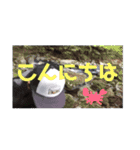 釣り好きっチャンネル～のらマクさん～（個別スタンプ：36）