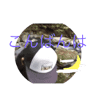 釣り好きっチャンネル～のらマクさん～（個別スタンプ：37）