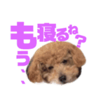 るんあい（個別スタンプ：1）