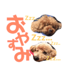 るんあい（個別スタンプ：3）