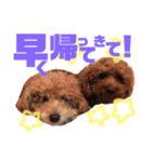 るんあい（個別スタンプ：4）