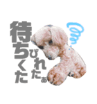 るんあい（個別スタンプ：6）