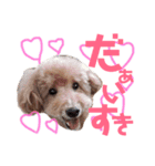 るんあい（個別スタンプ：8）