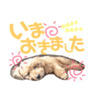 るんあい（個別スタンプ：12）