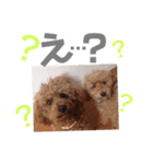 るんあい（個別スタンプ：13）