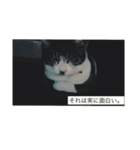 のりたま猫スタンプ（個別スタンプ：7）