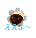ディランと愉快な仲間たち パート3（個別スタンプ：6）