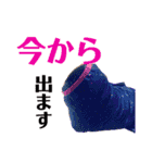 ディランと愉快な仲間たち パート3（個別スタンプ：16）