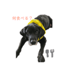 めーたん(^з^)-☆（個別スタンプ：4）