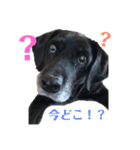 めーたん(^з^)-☆（個別スタンプ：7）