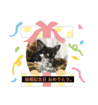 まぁ様（個別スタンプ：8）