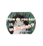 英語で【きょうじ獏】節分（個別スタンプ：4）
