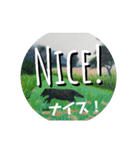 英語で【きょうじ獏】節分（個別スタンプ：16）