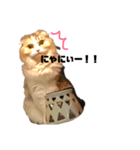 こつぶとぼん①（個別スタンプ：3）