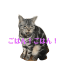 びびにゃんこ（個別スタンプ：1）