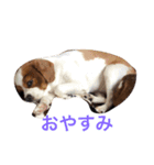 ゆるすぎるロコさん（個別スタンプ：3）