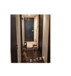 トイプードル コロちゃんのいろいろ毎日（個別スタンプ：12）