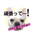 僕、シアン！恋しちゃった〜（個別スタンプ：7）