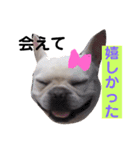 僕、シアン！恋しちゃった〜（個別スタンプ：12）