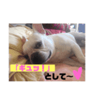 僕、シアン！恋しちゃった〜（個別スタンプ：13）