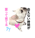 僕、シアン！恋しちゃった〜（個別スタンプ：15）