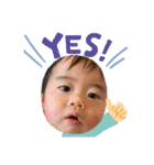 PIYO1（個別スタンプ：7）