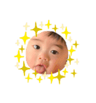 PIYO1（個別スタンプ：13）