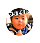 PIYO1（個別スタンプ：21）