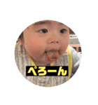 PIYO1（個別スタンプ：22）