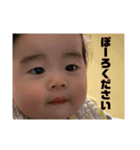 PIYO1（個別スタンプ：24）