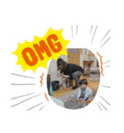 こうちゃんとじいじとばあば（個別スタンプ：5）