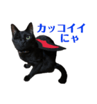 保護猫ナッツbyオハナビーズ（個別スタンプ：3）