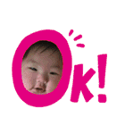 ひなたがいっぱいだよ。（個別スタンプ：1）