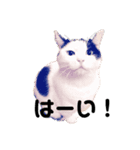 癒しの猫たち。（個別スタンプ：2）