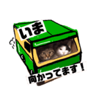 癒しの猫たち。（個別スタンプ：6）