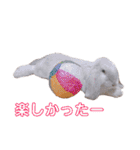 フレンチロップイヤーすたんぷ。（個別スタンプ：10）